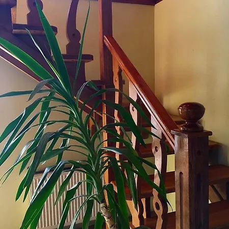 Villa_vovkal Country house